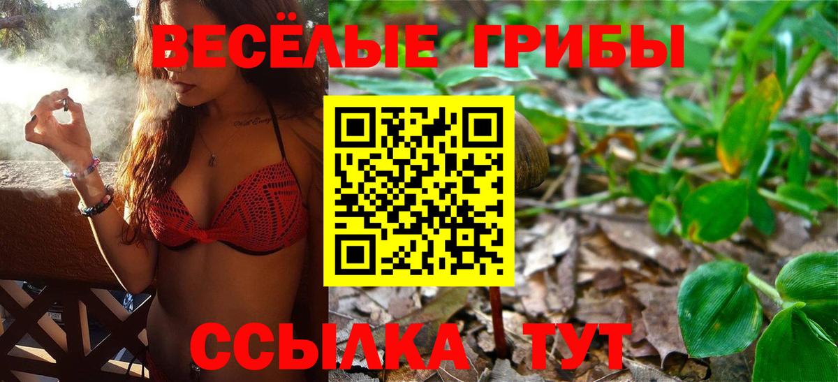 Галлюциногенные грибы GOLDEN TEACHER Можайск