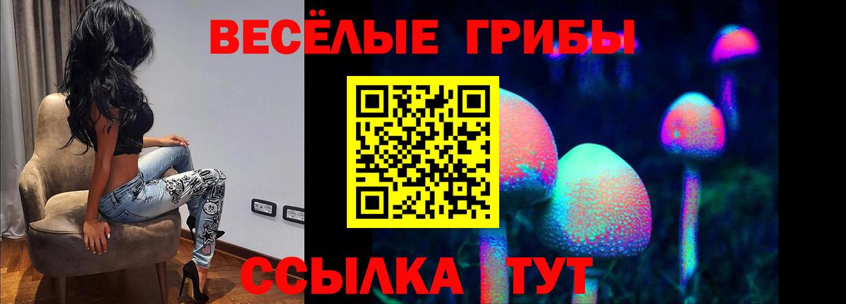 Галлюциногенные грибы мухоморы  Вход с VPN  Можайск 